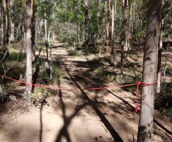 A photo one of the access tracks on Red Range